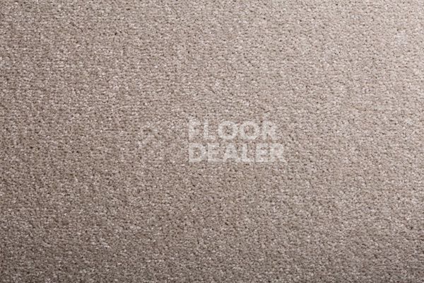 Ковролин CONDOR Carpets Bologna 74 фото 1 | FLOORDEALER
